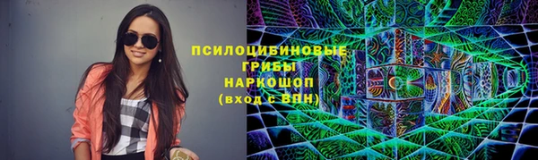 мяу мяу мука Няндома