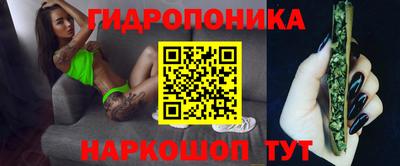 прущие грибы Балашиха