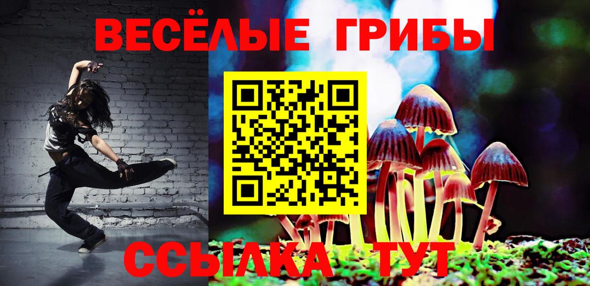 Галлюциногенные грибы Magic Shrooms  Богородск 