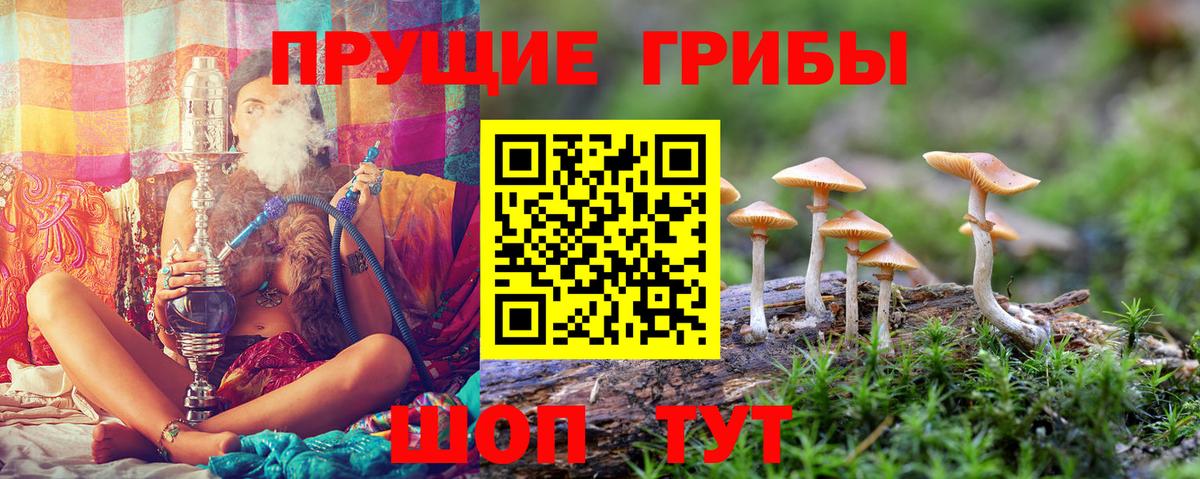 Галлюциногенные грибы мицелий Богородск