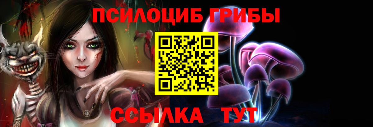 Псилоцибиновые грибы Psilocybe  Вход с VPN  Богородск 